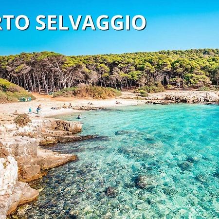 Casa Smeraldo Mare A Sud Di Porto Cesareo Torre Inserraglio ภายนอก รูปภาพ